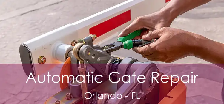 Automatic Gate Repair Orlando - FL