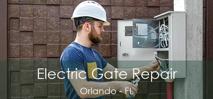  Electric Gate Repair Orlando - FL